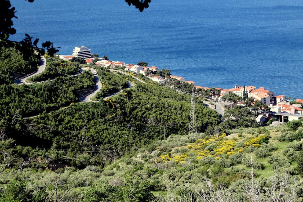 Villa " Davorka" Подгора Екстер'єр фото