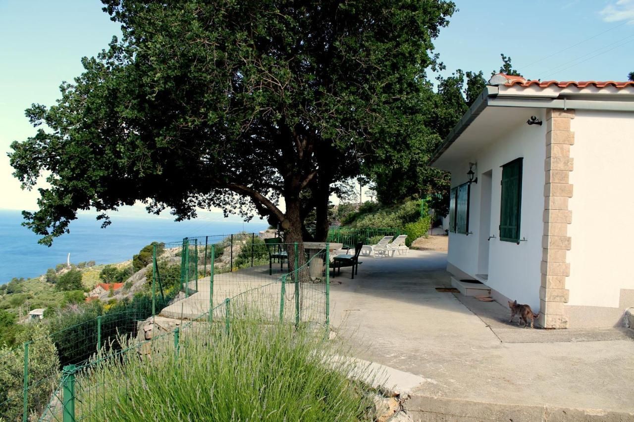 Villa " Davorka" Подгора Екстер'єр фото