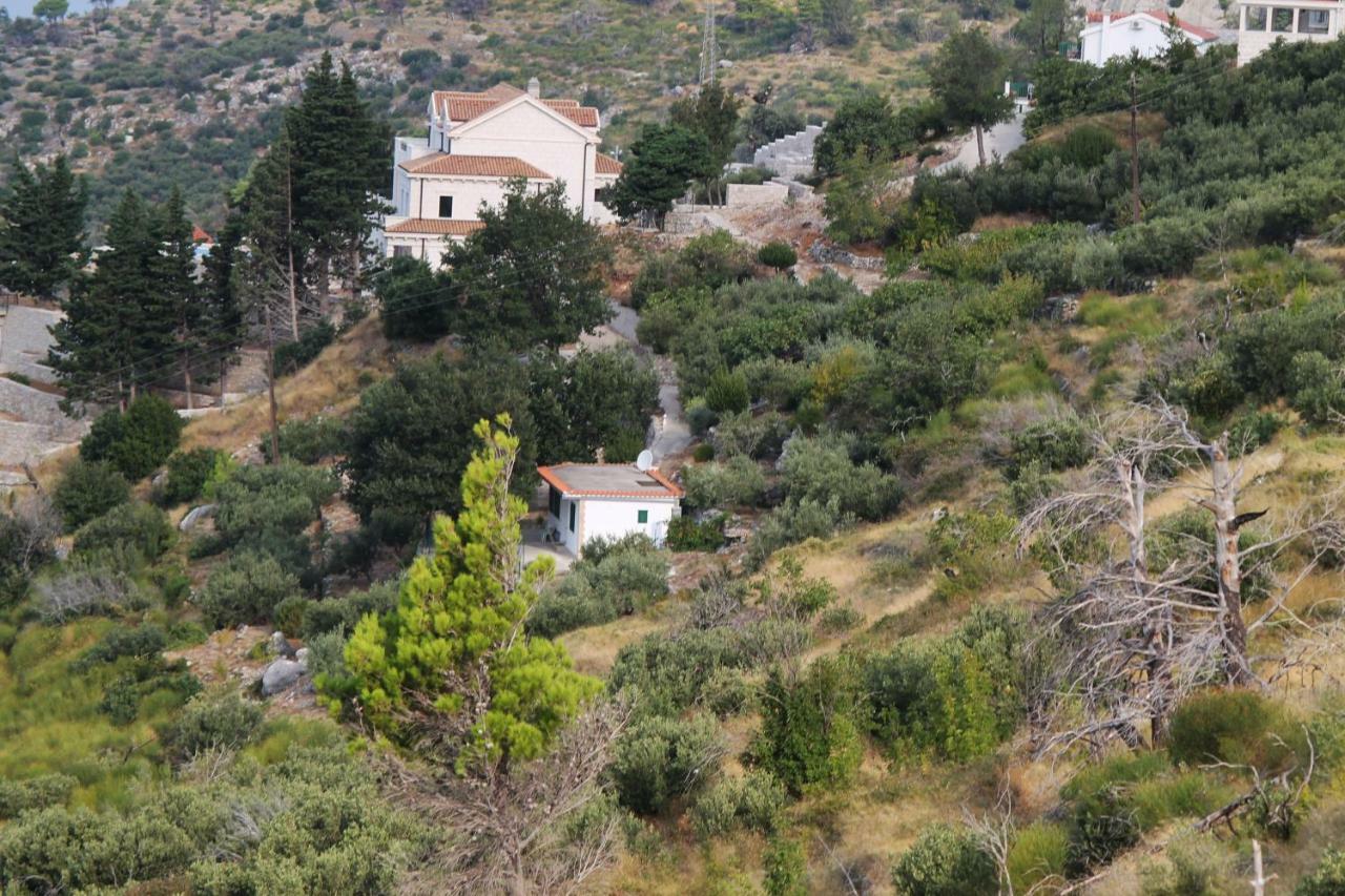 Villa " Davorka" Подгора Екстер'єр фото