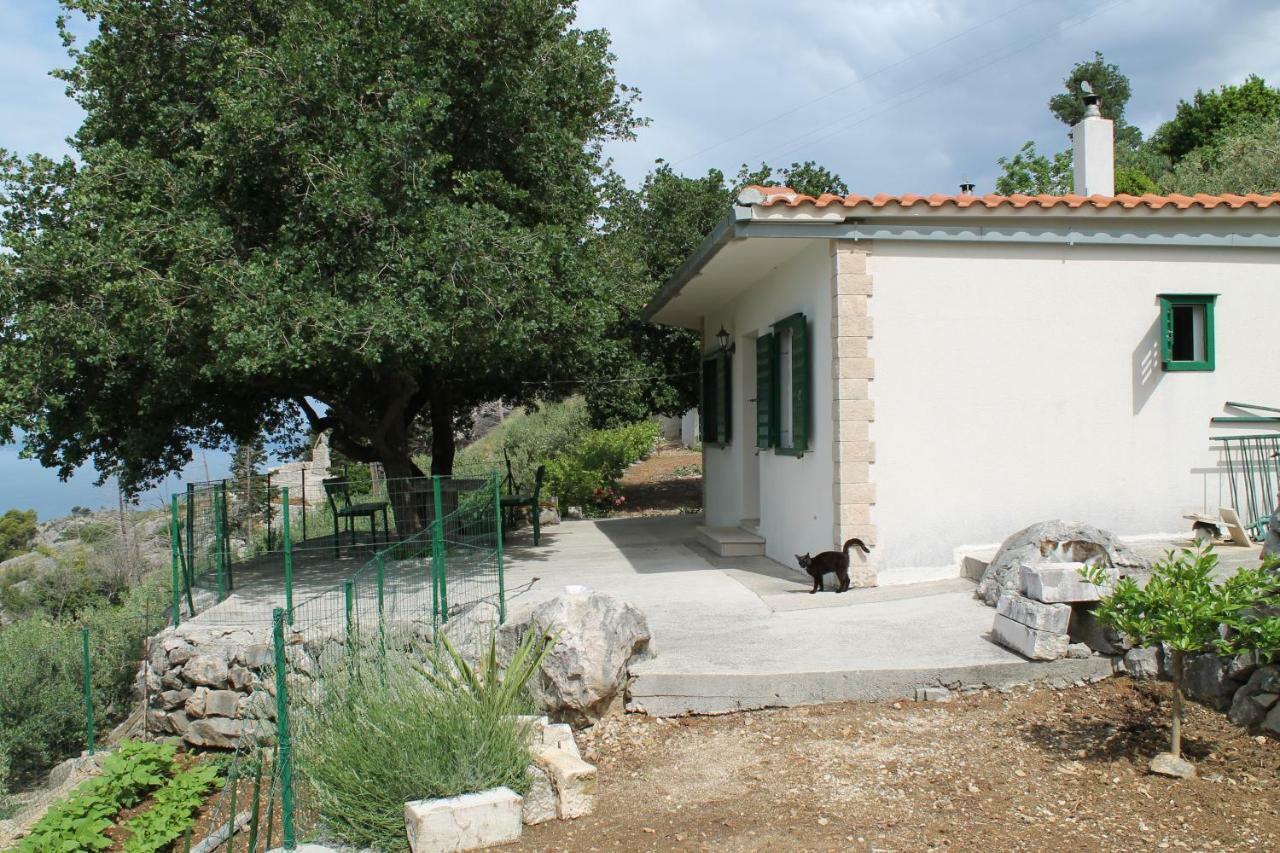 Villa " Davorka" Подгора Екстер'єр фото