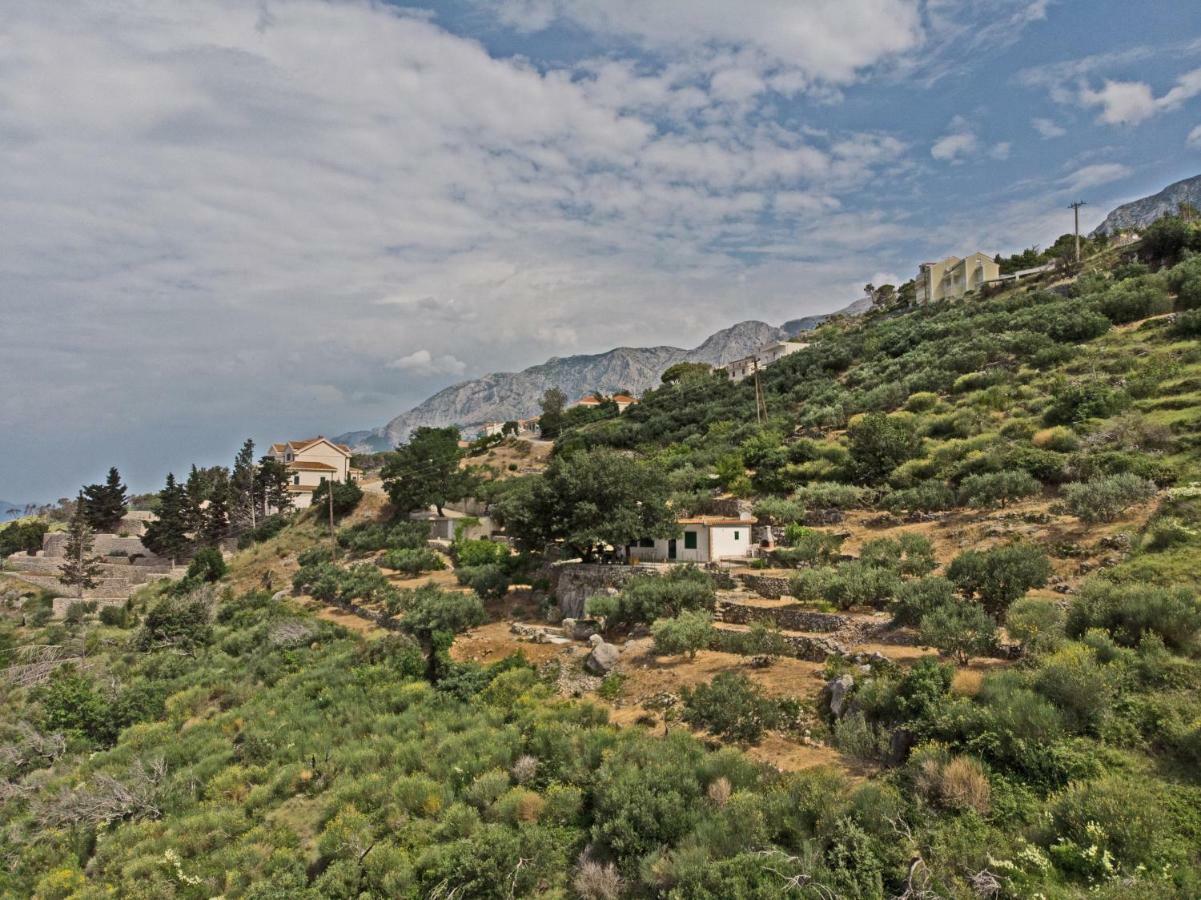 Villa " Davorka" Подгора Екстер'єр фото
